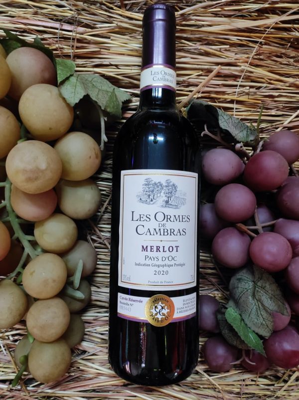 Les ormes de Cambras - Merlot