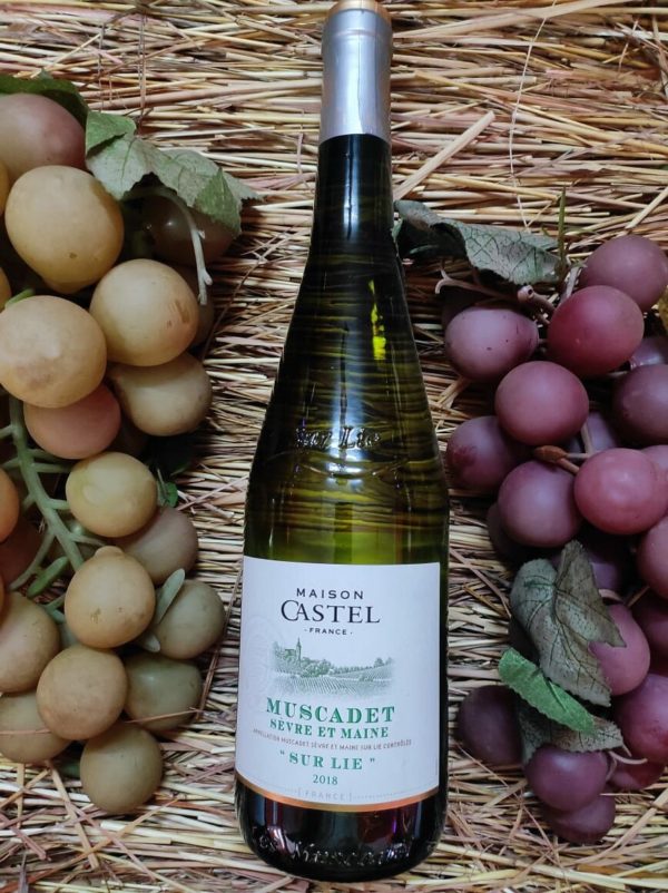 Maison Castel - Muscadet sèvre et maine sur lie